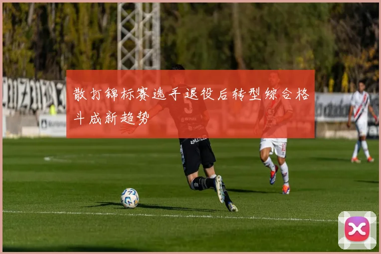 散打锦标赛选手退役后转型综合格斗成新趋势