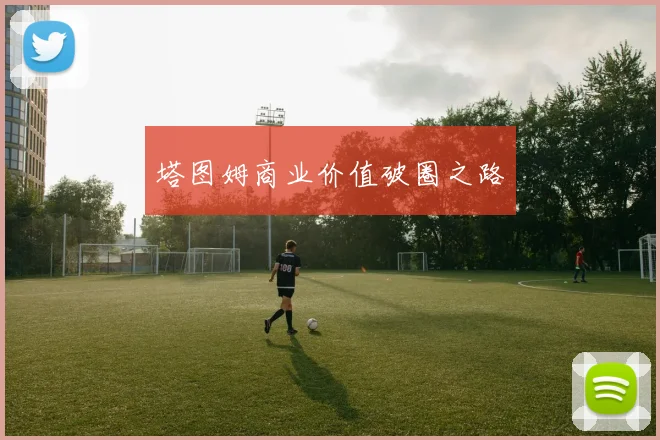 塔图姆商业价值破圈之路