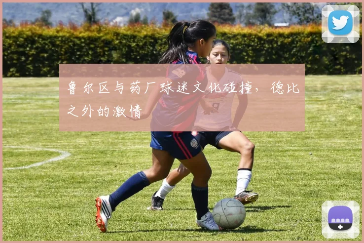 鲁尔区与药厂球迷文化碰撞，德比之外的激情
