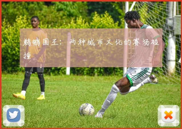 鹈鹕国王：两种城市文化的赛场碰撞