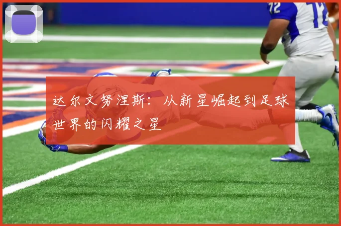 达尔文努涅斯：从新星崛起到足球世界的闪耀之星