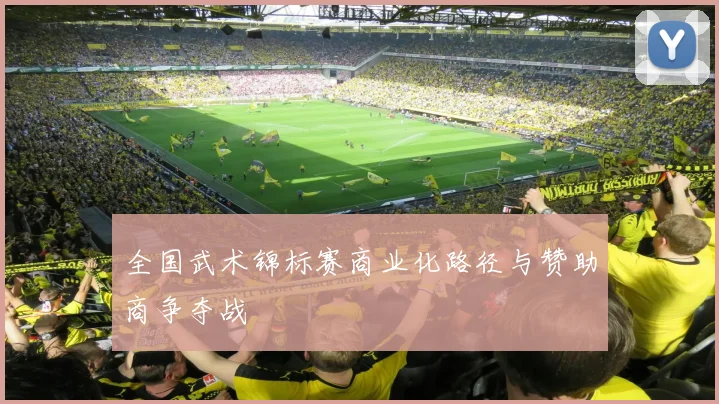 全国武术锦标赛商业化路径与赞助商争夺战
